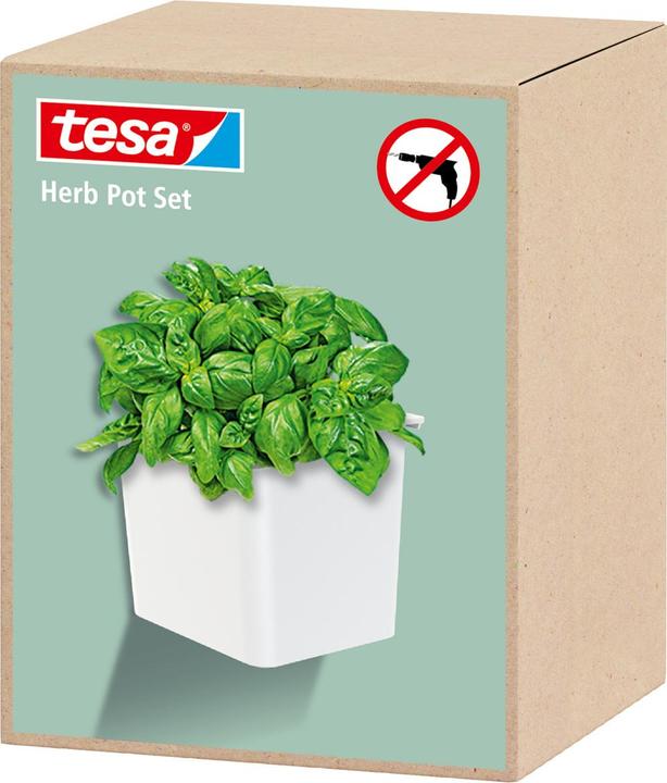 Actual product image tesa Herb pot (13.50 cm)