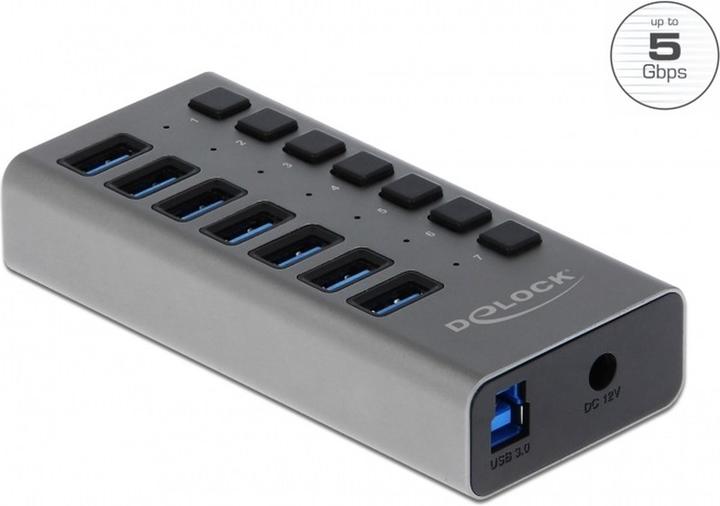 Delock 63669 (USB-A, 7 Ports)