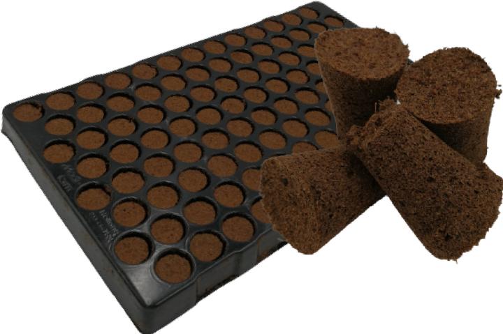 Produktbild Lime Plug Conical - Tray mit 104 Stk.