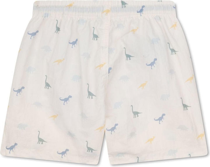 Dinosaurs