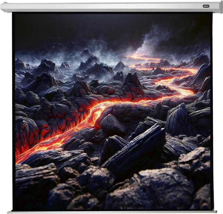 Produktbild Celexon Economy electric screen - Leinwand - Deckenmontage möglich, geeignet für Wandmon (120", 1:1)