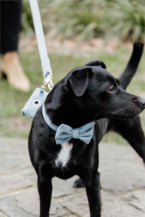 Produktbild Kentucky Dogwear Kotbeutelspender Velvet Square (One Size, Hund, Allgemein)