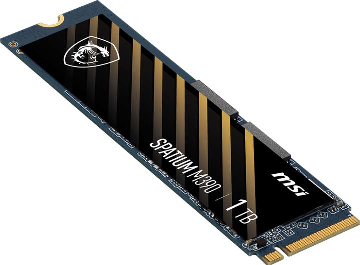 Produktbild MSI Spatium M390 (1000 GB, M.2 2280)
