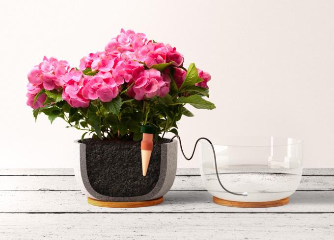 Produktbild Blumat Classic