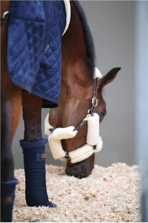 Image du produit Kentucky Horsewear Bandages répulsifs pour écurie et transport (set de 4)