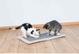 Actual product image Trixie Scratch Mat (55 cm, Beige, Nature)