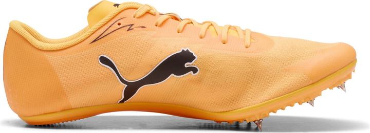 Image du produit Puma evoSPEED Brush 7 (37)