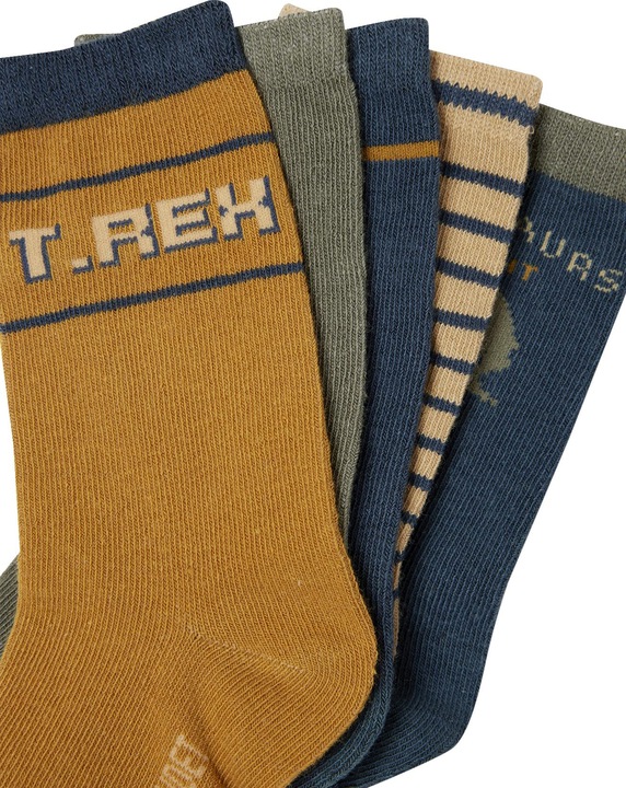 Immagine prodotto Vertbaudet 5er-Pack Jungen Dino-Socken (Confezione da 5 pezzi, 31, 34)