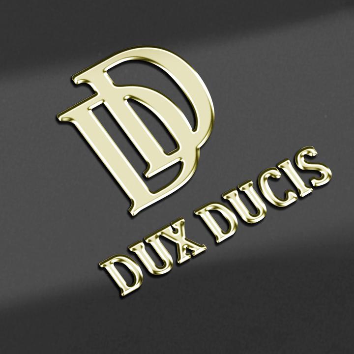 Produktbild Dux Ducis Cover (Samsung Galaxy S24 Ultra)