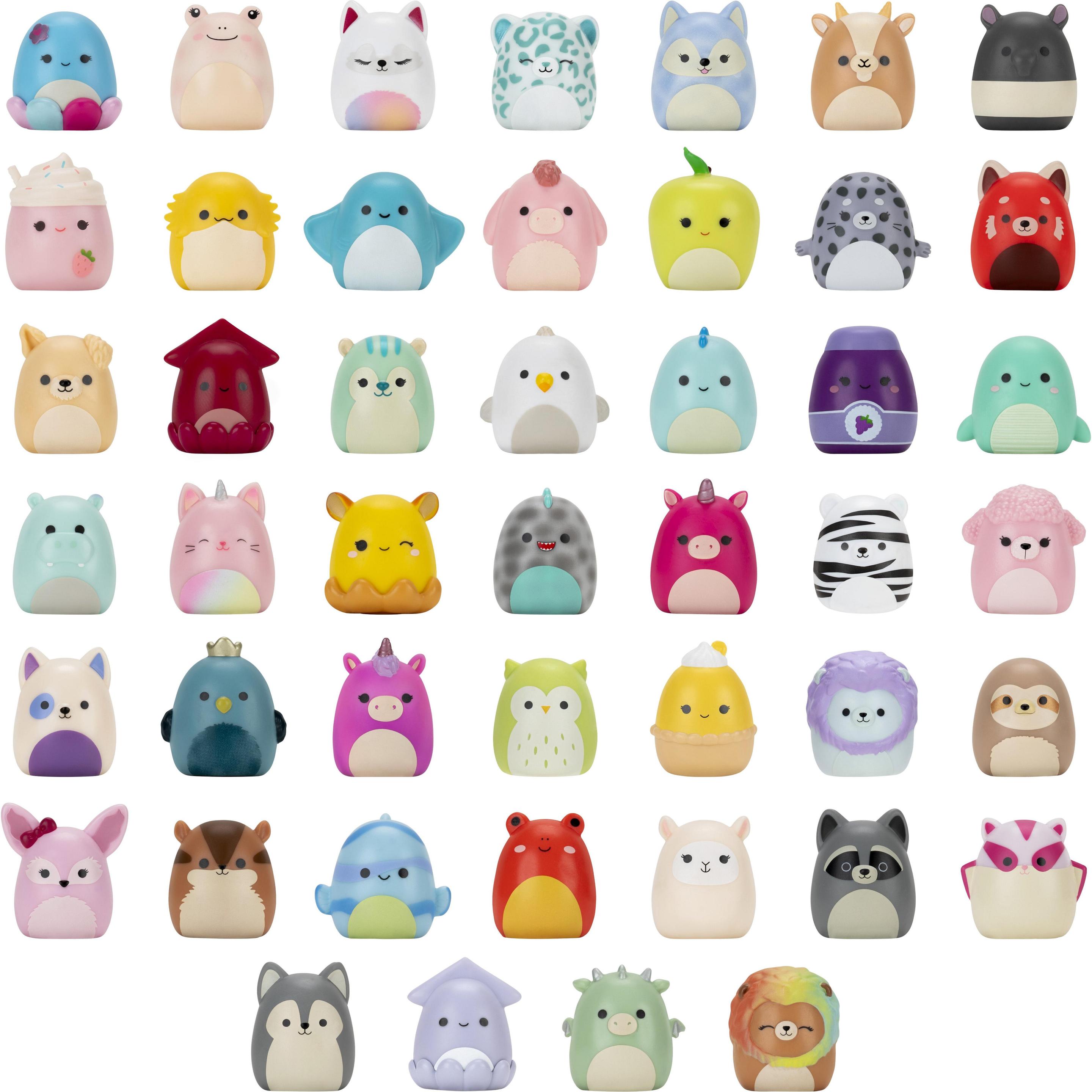 Squishmallows Squish-a-longs 2,5 cm Blind 2 Pack Asst S2 CDU