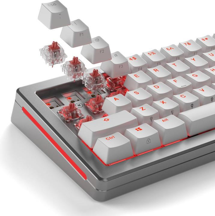 Produktbild Glorious Mechanical Switches (110pcs) - Fox - Ultralight (Linear) 30g