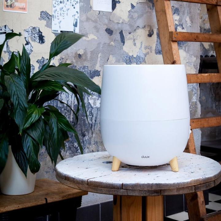 Produktbild Duux Ovi (30 m²)