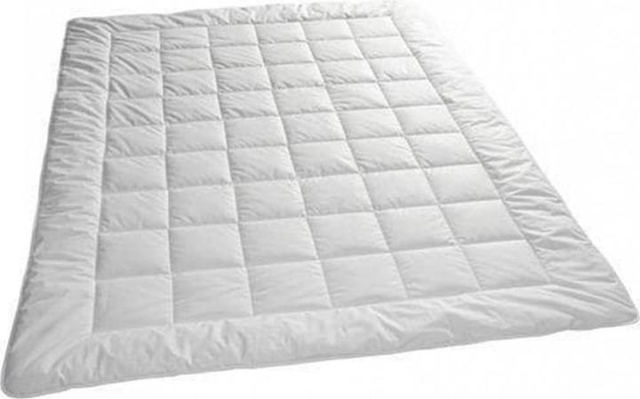Image du produit Billerbeck Bamboo Light (740 g, 160 x 210 cm)