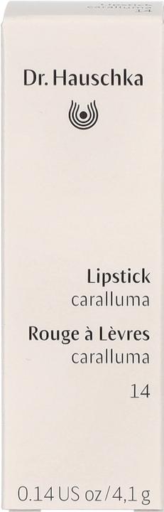 Image du produit Dr. Hauschka Rouge à lèvres 14 caralluma 4.1 g (#14 Caralluma)