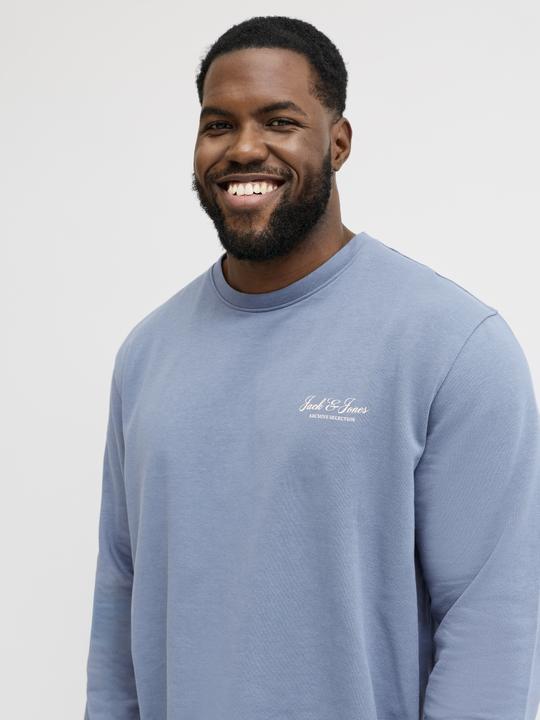 Produktbild Jack & Jones Jjearchive Graphic Sweat Cn Noos Pls (3XL)