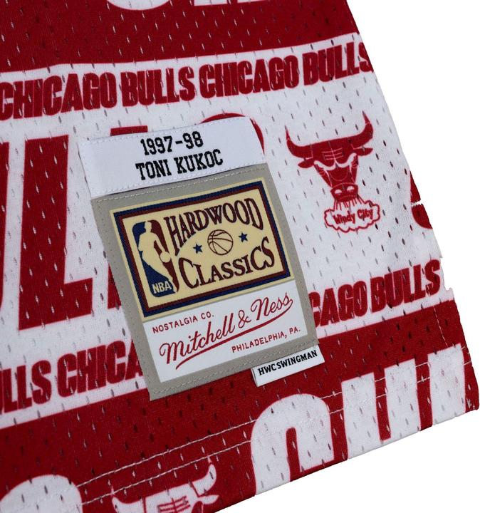 Actual product image Mitchell & Ness Swingman Teamwrap Mesh Jersey Chicago Bulls Toni Kukoc - L (L)