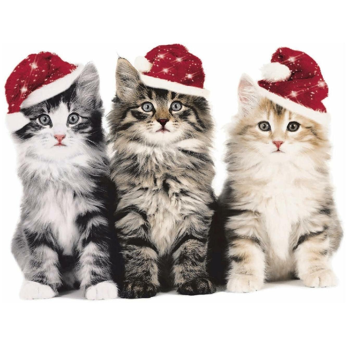 Paper + Design, Servietten, Weihnachtsservietten (20 x, 33 x 33 cm)