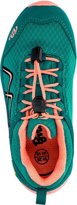 Immagine prodotto Brütting Guide (31)