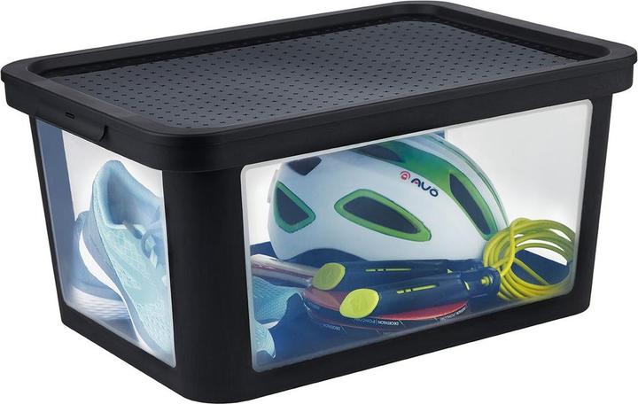 Produktbild Rotho Albris (55.5 x 39 x 26.5 cm, 45 l)