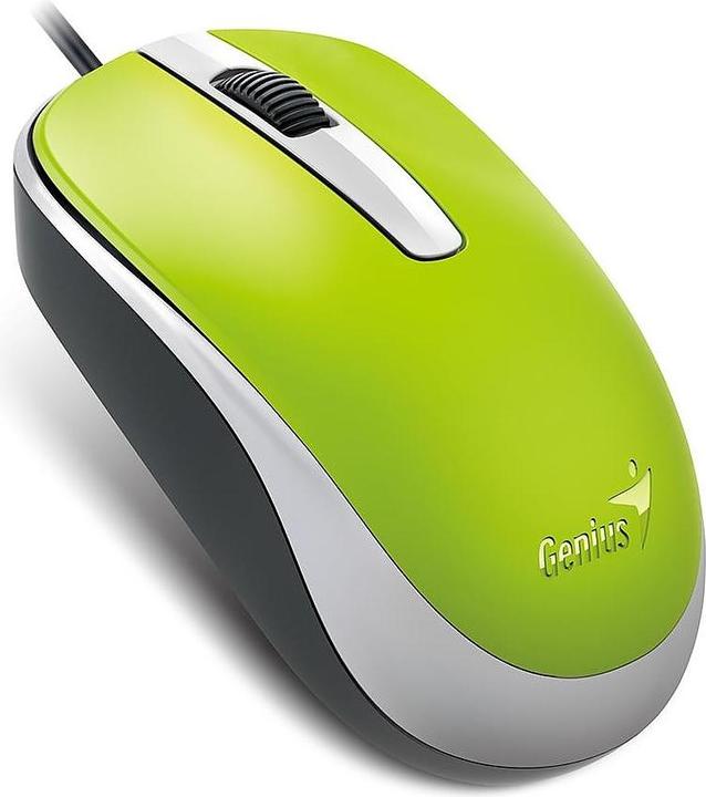 Image du produit Genius KYE 310105110 Souris optique avec câble DX-120, Vert (Filaire)