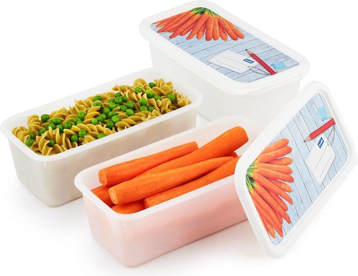 Actual product image Rotho Domino (1.20 l)