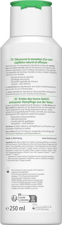 Immagine prodotto Lavera Shampoo Frische & Balance fettendes Haar Fl 250 ml (250 ml, Shampoo liquido)