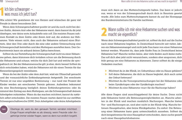 Image du produit 100 Fragen an deine Hebamme (Allemand, Julia Brömsen, Jasmin Czech, 2023)