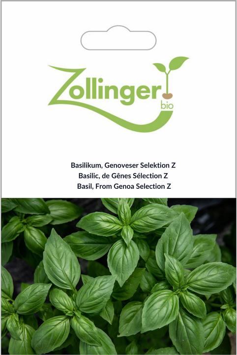 Zollinger Bio Basilikum, Genoveser Selektion Z (grossblättrig) (Graines de plantes)