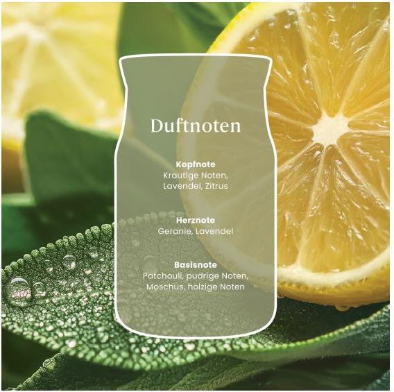 Produktbild Yankee Candle Sage & Citrus