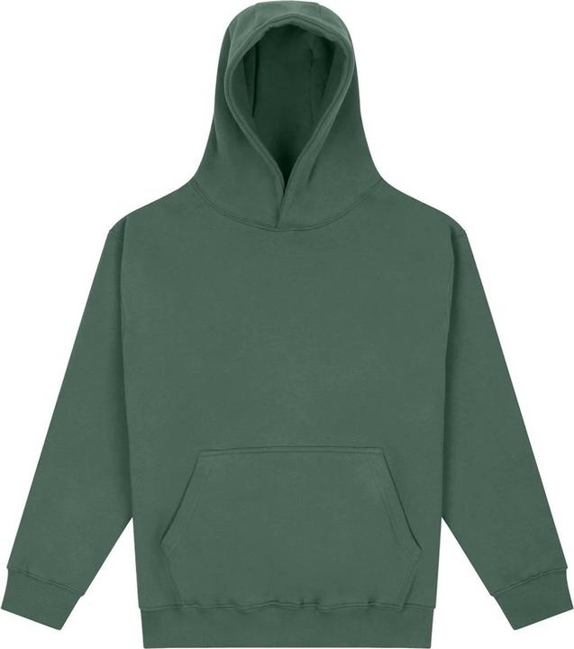 Produktbild Awdis Vision Kapuzenpullover Schwer (M)