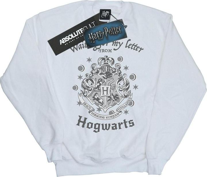 Immagine prodotto Hogwarts Waiting For My Letter Felpa Uomo (M)