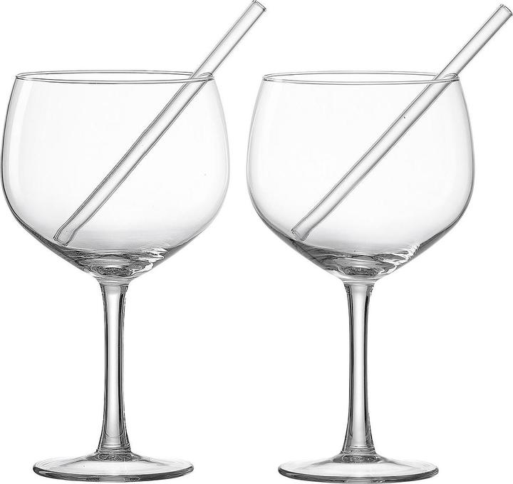 Ritzenhoff & Breker Verre à gin avec pailles (set de 2) (6.50 dl, 2x, Verres à long drink)