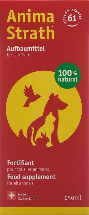 Produktbild Anima-Strath Flüssiges Aufbau- & Stärkungsmittel (Adult, 1 Stk., 0.25 g)