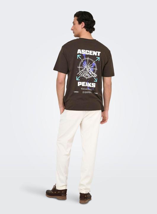 Produktbild Only & Sons Onskeane Rlx Ss Print Tee Noos (L)