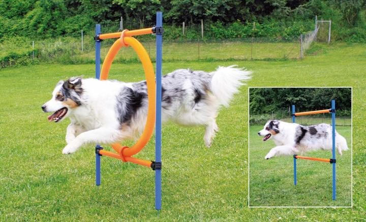 Image du produit Pawise Anneau Agility Ø55Cm - (636.9004) (Taille unique, Agility)