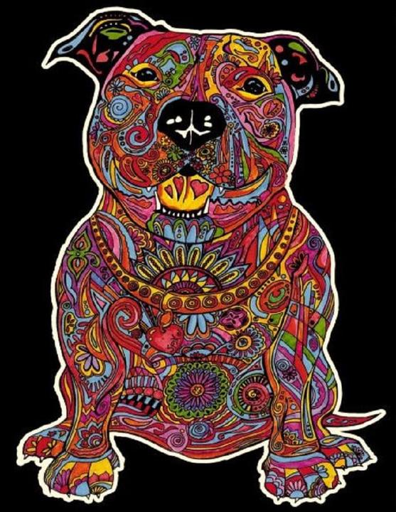 Image du produit TataRuga Image de velours, chemise B4