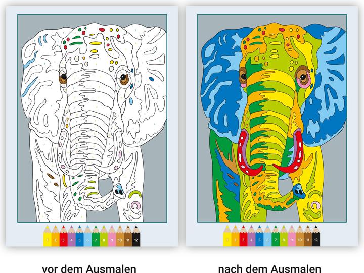 Produktbild Ravensburger CreArt Malen nach Zahlen Wilde Tiere