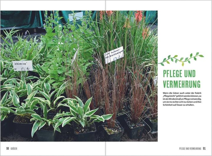 Produktbild MDR Garten - Gräser (Deutsch, Horst Schöne, 2018)