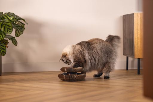 Actual product image Beeztees Hide (10 cm, Rose)