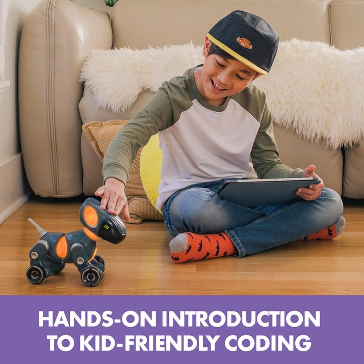Immagine prodotto Educational Insights Pyxel Coding Pet (Inglese, Francese, Tedesco)