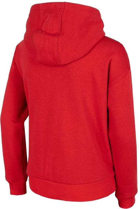 Produktbild 4F Player HJZ2 JBLM006 Kapuzenpullover Jungen (146)