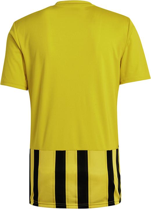 Actual product image adidas Striped 21 Jersey (XL)