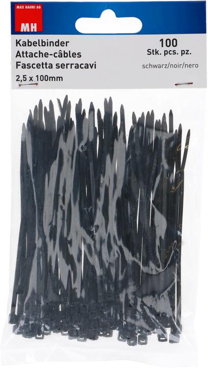 Actual product image Max Hauri Cable ties (Plastic cable ties, 100 mm, 100 pcs.)