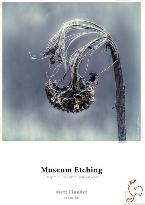 Immagine prodotto Hahnemühle Museum Etching A 4 bianco naturale, 350 g, 25 fogli (350 g/m², A4, 25 pz.)
