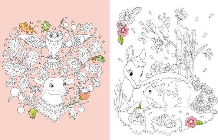 Produktbild Die verzauberte Reise