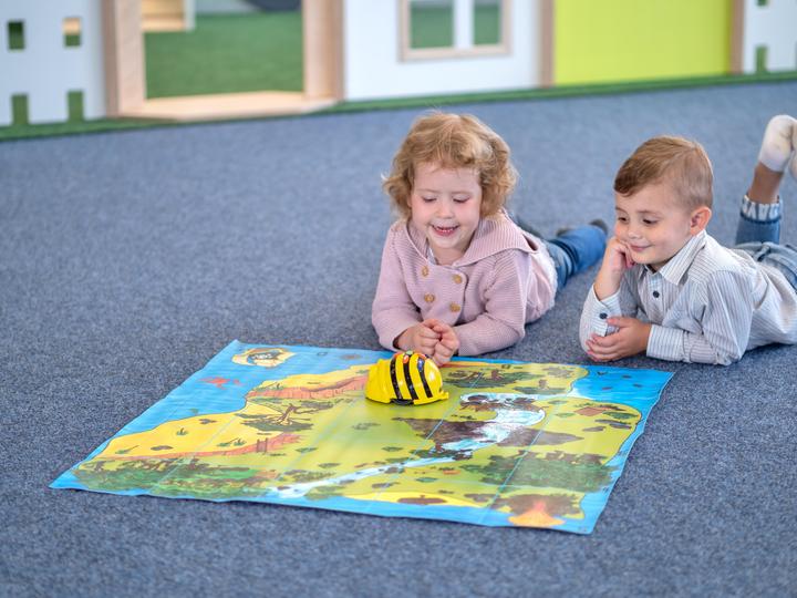 Actual product image TTS Bee-Bot