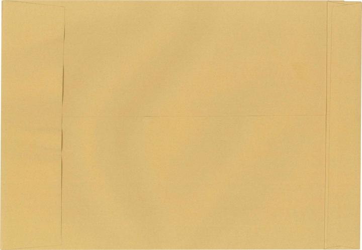 Image du produit Neutralware Pochette à soufflet DIN E4 sans fenêtre 150g/m² avec adhésif brun natron 250 pcs/paquet (250 x)