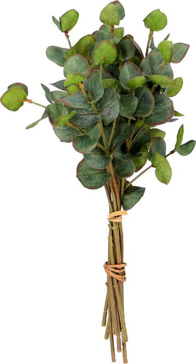 Casativo Eucalipto artificiale con 9 rami, lunghezza 32 cm