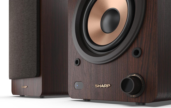 Actual product image Sharp CP-SS30 (1 pair, 60 W)