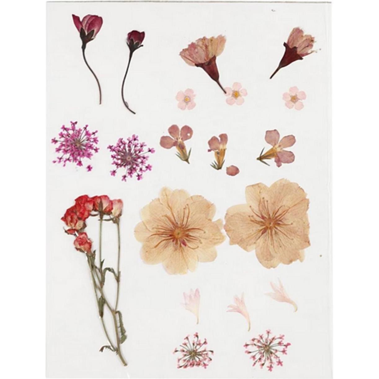 Thumbnail - Creativ Company, Blumenstrauss, Gepresste (Trockenblumen)